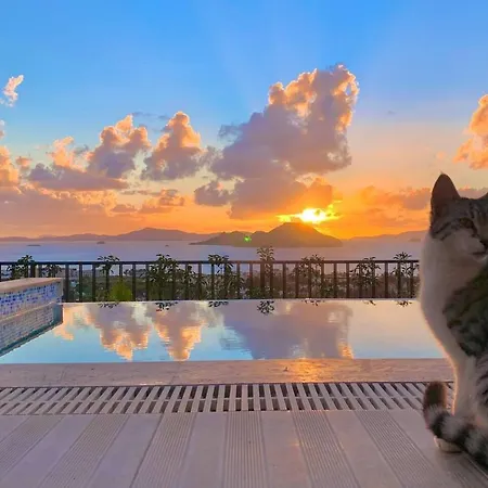 וילה Bodrum - 5 Bedrooms With Heated Pool טורגוטריס